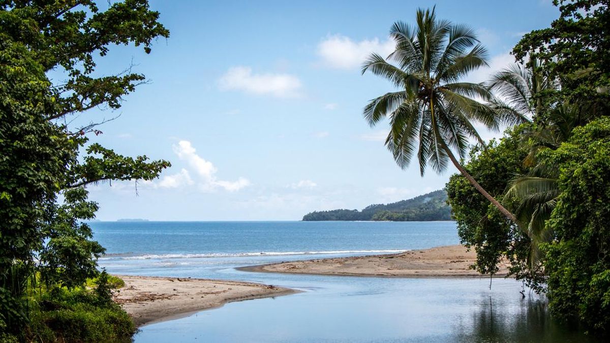 pulau-bougainville-di-pasifik-selatan-1742445249656_169