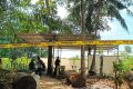 Kesaksian Pengacara Keluarga Saat Makam Sutrimo Diekshumasi Polisi