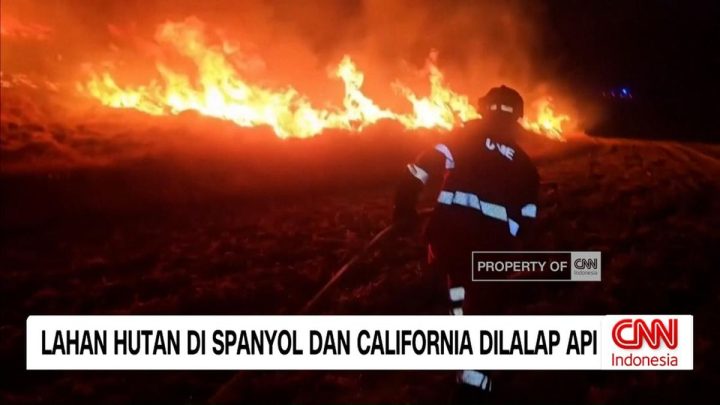 VIDEO: Kebakaran Melanda Spanyol Dan California, Hutan Dilalap Api
