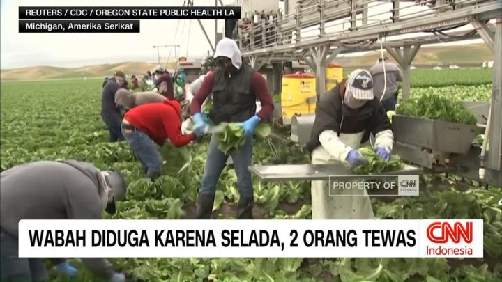 VIDEO: Wabah Diduga karena Selada, 2 Orang Tewas
