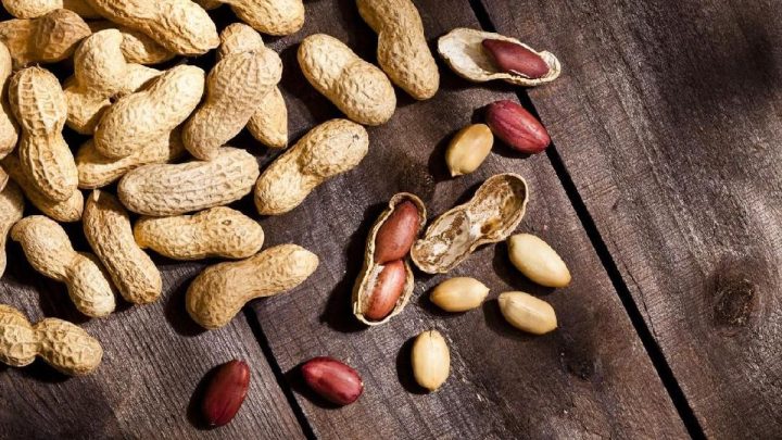 Polda Metro Bongkar Penyelundupan 49,85 Ton Kacang Tanah Asal India