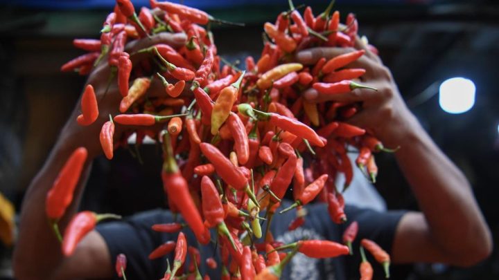 Ini Penyebab Harga Cabai Naik hingga Tembus Rp100 per Kg