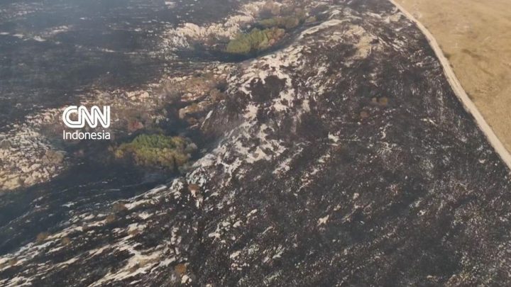 Kebakaran Hutan Bosnia Meluas, Asap Capai hingga Kroasia