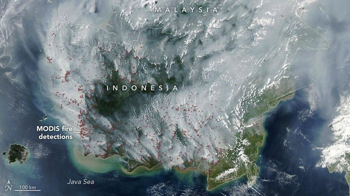 nasa-rilis-kebakaran-lahan-gambut-meredupkan-langit-di-indonesia-1788491039782_169