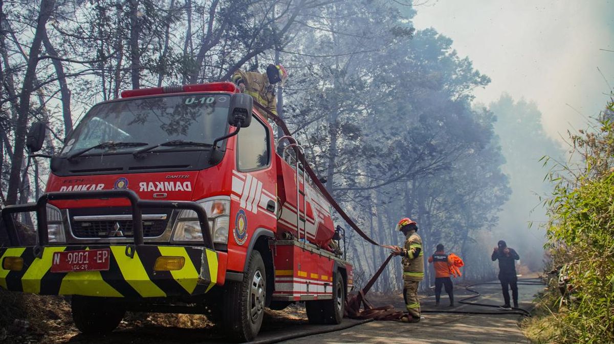 penanganan-kebakaran-kawasan-tnbts-1789302057374_169