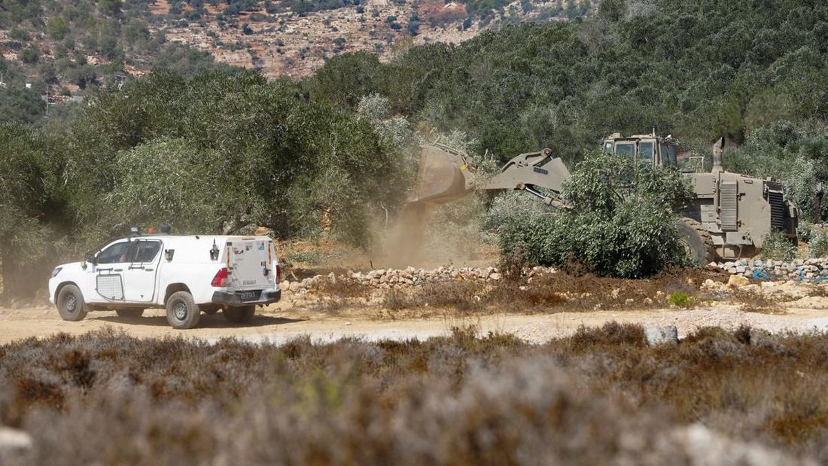 tentara-israel-buldozer-pohon-zaitun-palestina-1790548404815_169